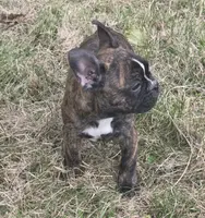 processed/22798242-cdab-4a00-b6e4-48addc41466c/listing/2f94495c-d604-4ffb-91a3-48bc5f29c08c/0bf6f4ed-f352-4117-bd9c-bb930c0f43f8