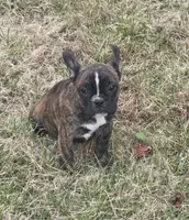 processed/22798242-cdab-4a00-b6e4-48addc41466c/listing/2f94495c-d604-4ffb-91a3-48bc5f29c08c/0e392b38-c568-4091-9bcd-19e5b054fa22