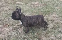 processed/22798242-cdab-4a00-b6e4-48addc41466c/listing/2f94495c-d604-4ffb-91a3-48bc5f29c08c/33dfb3d3-f5eb-4144-8dda-91ad54c908f9