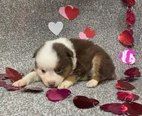 processed/22855b34-54b0-40cf-8ea2-9a03990a4f27/listing/f56c5be3-4f96-46fb-900e-4561d6599a84/dd0f24fc-2c71-4ccc-8c6e-ed8d7c27616d