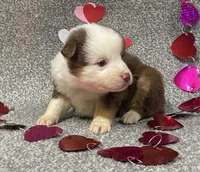 processed/22855b34-54b0-40cf-8ea2-9a03990a4f27/listing/f56c5be3-4f96-46fb-900e-4561d6599a84/fea4b6c7-bfa4-4054-9b5f-1a0b31430359