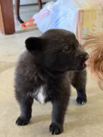 processed/2286b5e2-ebda-4b11-a340-0ecb05744f11/listing/90a11fcd-f7eb-4885-be63-a6fb64e2b1f9/5811d612-786c-40ed-a42a-43867347868c