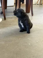 processed/2286b5e2-ebda-4b11-a340-0ecb05744f11/listing/90a11fcd-f7eb-4885-be63-a6fb64e2b1f9/82125467-bdce-4828-b8fa-134e7b26a0ae