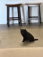 processed/2286b5e2-ebda-4b11-a340-0ecb05744f11/listing/90a11fcd-f7eb-4885-be63-a6fb64e2b1f9/f70804d6-b935-48d2-a951-5eec196d1490