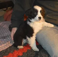 processed/229800b6-ad0a-4f8b-821a-932cc3efd100/facility/181fd447-bfac-433a-bd25-0dea41d65dc5