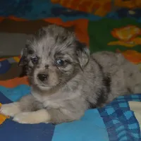 processed/229800b6-ad0a-4f8b-821a-932cc3efd100/facility/228cf8dc-1f85-4344-b8d6-4bcf61cc2ef9