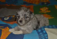 processed/229800b6-ad0a-4f8b-821a-932cc3efd100/facility/228cf8dc-1f85-4344-b8d6-4bcf61cc2ef9