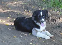 processed/229800b6-ad0a-4f8b-821a-932cc3efd100/facility/401621ef-4d72-4c31-aca8-3a790100fa7e