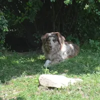 processed/229800b6-ad0a-4f8b-821a-932cc3efd100/facility/471f48a1-ba3a-4e73-8e81-32d93e9a17a0