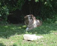 processed/229800b6-ad0a-4f8b-821a-932cc3efd100/facility/471f48a1-ba3a-4e73-8e81-32d93e9a17a0