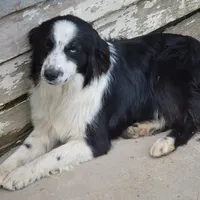 processed/229800b6-ad0a-4f8b-821a-932cc3efd100/facility/92010a21-7ccf-4ed2-8022-e405a72b8a1b