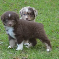 processed/229800b6-ad0a-4f8b-821a-932cc3efd100/facility/9736f3e7-f970-4661-9602-394e5b908cef