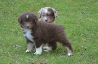 processed/229800b6-ad0a-4f8b-821a-932cc3efd100/facility/9736f3e7-f970-4661-9602-394e5b908cef