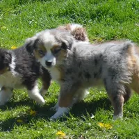 processed/229800b6-ad0a-4f8b-821a-932cc3efd100/facility/bfd004eb-ecb5-44ea-b4c0-d7aa92417f19