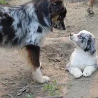 processed/229800b6-ad0a-4f8b-821a-932cc3efd100/facility/d7499011-ccde-4a94-bda5-65958b4766c9