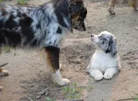 processed/229800b6-ad0a-4f8b-821a-932cc3efd100/facility/d7499011-ccde-4a94-bda5-65958b4766c9