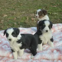 processed/229800b6-ad0a-4f8b-821a-932cc3efd100/facility/dd7ac4e2-d1b6-4852-b272-01db24cebd3f