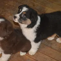 processed/229800b6-ad0a-4f8b-821a-932cc3efd100/facility/f4ed7793-615c-49c8-a7a0-249b6a4e2172