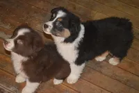 processed/229800b6-ad0a-4f8b-821a-932cc3efd100/facility/f4ed7793-615c-49c8-a7a0-249b6a4e2172