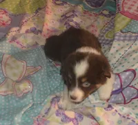 processed/229800b6-ad0a-4f8b-821a-932cc3efd100/listing/0921c8f8-4660-4c94-97dd-2e9bb236033b/356098e8-0645-4deb-953b-6e09cd9d08dc