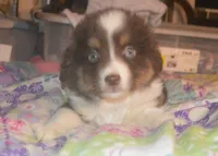 processed/229800b6-ad0a-4f8b-821a-932cc3efd100/listing/0921c8f8-4660-4c94-97dd-2e9bb236033b/46cb045a-48b7-46f3-b1cb-bbbc56374e8c