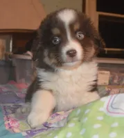 processed/229800b6-ad0a-4f8b-821a-932cc3efd100/listing/0921c8f8-4660-4c94-97dd-2e9bb236033b/9b66d1d2-f00f-45c8-b697-e02314702521