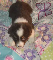 processed/229800b6-ad0a-4f8b-821a-932cc3efd100/listing/0921c8f8-4660-4c94-97dd-2e9bb236033b/a6952c4f-25df-4906-9140-d7f370f0201d