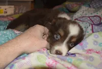 processed/229800b6-ad0a-4f8b-821a-932cc3efd100/listing/0921c8f8-4660-4c94-97dd-2e9bb236033b/de0a298d-bffb-48d7-b93a-d2df33be2144