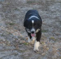 processed/229800b6-ad0a-4f8b-821a-932cc3efd100/listing/4afe6a99-87da-4297-acb3-2592d16c8ee4/2d8eda52-ca10-4c98-8f3d-13081ad22262