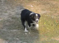 processed/229800b6-ad0a-4f8b-821a-932cc3efd100/listing/4afe6a99-87da-4297-acb3-2592d16c8ee4/93582629-147a-45a2-920d-0994cd45c93e