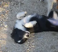 processed/229800b6-ad0a-4f8b-821a-932cc3efd100/listing/4afe6a99-87da-4297-acb3-2592d16c8ee4/d1684522-40ed-448b-bfb5-020eeb2b1642