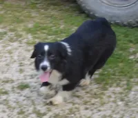 processed/229800b6-ad0a-4f8b-821a-932cc3efd100/listing/4afe6a99-87da-4297-acb3-2592d16c8ee4/f4c06bc3-b65b-4ca4-8f2b-a805c164ac4a