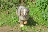 processed/229800b6-ad0a-4f8b-821a-932cc3efd100/listing/6643a716-e7cb-4a42-ab6f-3b26b545825c/3383ba05-bafc-4243-88a2-f2768f0cb02b