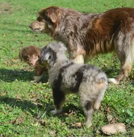 processed/229800b6-ad0a-4f8b-821a-932cc3efd100/listing/6643a716-e7cb-4a42-ab6f-3b26b545825c/8d03f70e-1e61-453d-b009-4080b78749a7