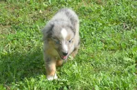 processed/229800b6-ad0a-4f8b-821a-932cc3efd100/listing/6643a716-e7cb-4a42-ab6f-3b26b545825c/eed1f2b0-b2ae-403b-8279-cade07ba1b78