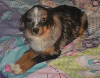 processed/229800b6-ad0a-4f8b-821a-932cc3efd100/listing/684a34f0-ee32-4e7f-8a3c-4a726984ec23/54a3ab9c-cd06-45ef-b18a-072658277984