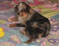 processed/229800b6-ad0a-4f8b-821a-932cc3efd100/listing/684a34f0-ee32-4e7f-8a3c-4a726984ec23/710d1953-8a26-4a4d-9564-445b8ab447d6