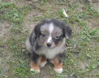 processed/229800b6-ad0a-4f8b-821a-932cc3efd100/listing/684a34f0-ee32-4e7f-8a3c-4a726984ec23/8f85074a-1383-408c-b348-f1e2cc55efa8