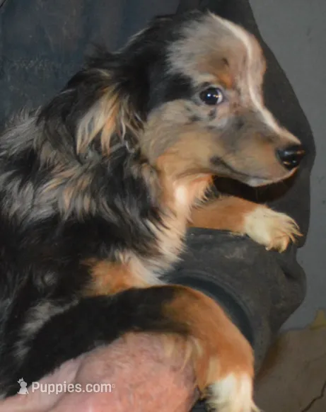 processed/229800b6-ad0a-4f8b-821a-932cc3efd100/listing/684a34f0-ee32-4e7f-8a3c-4a726984ec23/904dd856-b439-45db-bf97-564df64419b1