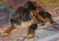 processed/229800b6-ad0a-4f8b-821a-932cc3efd100/listing/684a34f0-ee32-4e7f-8a3c-4a726984ec23/b2f2b2ae-2cc6-45d6-8f49-111450e79e15