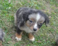 processed/229800b6-ad0a-4f8b-821a-932cc3efd100/listing/684a34f0-ee32-4e7f-8a3c-4a726984ec23/ba2b4f24-74e3-4e84-8622-fe4ddb29182f