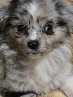 processed/229800b6-ad0a-4f8b-821a-932cc3efd100/listing/cdde085a-874a-4405-af15-36b91c0fbd92/030ffc26-1cea-4c61-b467-c28f0c19ad40