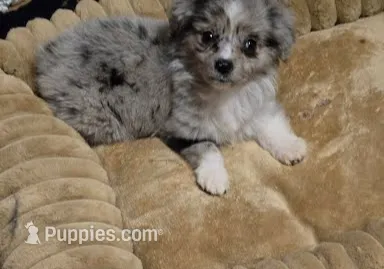 processed/229800b6-ad0a-4f8b-821a-932cc3efd100/listing/cdde085a-874a-4405-af15-36b91c0fbd92/24327b22-a639-4f25-80e9-5368a97c7458