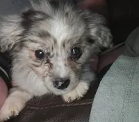 processed/229800b6-ad0a-4f8b-821a-932cc3efd100/listing/cdde085a-874a-4405-af15-36b91c0fbd92/7c5bcd3a-efc0-4dc0-b85b-ad2dad72996d