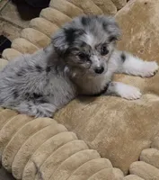 processed/229800b6-ad0a-4f8b-821a-932cc3efd100/listing/cdde085a-874a-4405-af15-36b91c0fbd92/bc8453da-fe24-43ce-8775-1d843175fb36