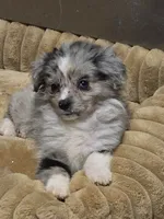 processed/229800b6-ad0a-4f8b-821a-932cc3efd100/listing/cdde085a-874a-4405-af15-36b91c0fbd92/c40b1fbf-5517-435a-9436-b41e898cded9