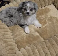 processed/229800b6-ad0a-4f8b-821a-932cc3efd100/listing/cdde085a-874a-4405-af15-36b91c0fbd92/ed0b4ef0-f532-4246-8563-223524d24e20