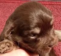 processed/229b6551-c910-49c3-aa2f-0cfd1c9518d7/listing/0d69aa9a-ed6b-45ed-8252-bead5741c5f1/01cfb420-ff3f-4543-9e66-dd20d2eb8528