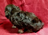 processed/229b6551-c910-49c3-aa2f-0cfd1c9518d7/listing/0d69aa9a-ed6b-45ed-8252-bead5741c5f1/8997d7c0-11bb-4a44-9b0a-773d47469809