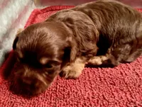 processed/229b6551-c910-49c3-aa2f-0cfd1c9518d7/listing/0d69aa9a-ed6b-45ed-8252-bead5741c5f1/f4c853b3-8fcf-414b-ac84-ea0f52be2cae